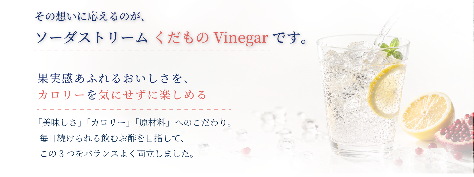 その想いに応えるのが、ソーダストリームくだもの Vinegarです。